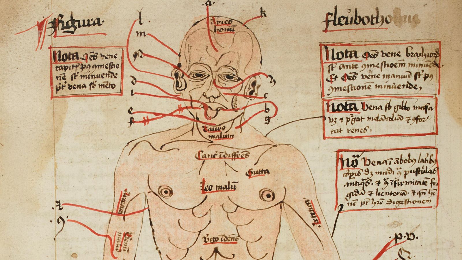 Curas Medievales Medicina