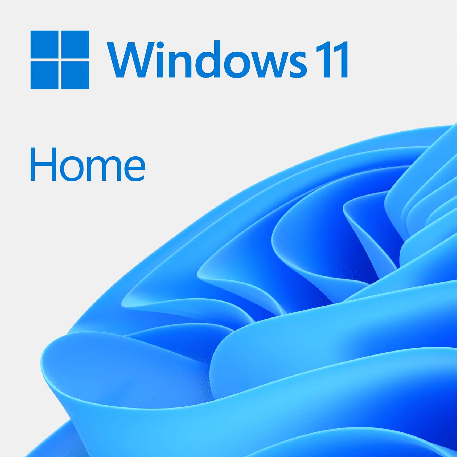 diferencias entre windows 11 home y windows 11 pro cual deberias instalar en tu pc